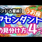 【インド占星術】アセンダントの見分け方４つ【魚座】