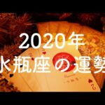 【2020年】水瓶座（みずがめ座）の運勢💫年間リーディング【タロット占い】