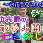 【宿曜占星術】竹本光晴の「お散歩で開運」横浜バラ園～お花を見て開運～チャクラ七色探し 編