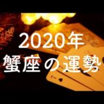 【2020年】蟹座（かに座）の運勢💫年間リーディング【タロット占い】