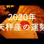【2020年】天秤座（てんびん座）の運勢💫年間リーディング【タロット占い】