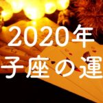 【2020年】双子座（ふたご座）の運勢💫年間リーディング【タロット占い】