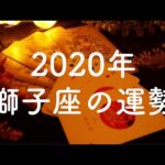 【2020年】獅子座（しし座）の運勢💫年間リーディング【タロット占い】