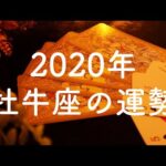 【2020年】牡牛座（おうし座）の運勢💫年間リーディング【タロット占い】