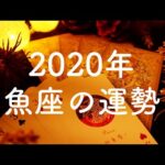 【2020年】魚座（うお座）の運勢💫年間リーディング【タロット占い】