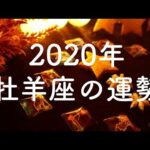 【2020年】牡羊座（おひつじ座）の運勢💫年間リーディング【タロット占い】