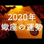 【2020年】蠍座（さそり座）の運勢💫年間リーディング【タロット占い】