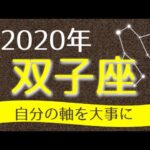 【占い】2020年 双子座(ふたご座)の運勢を占う！【西洋占星術･タロット･易】