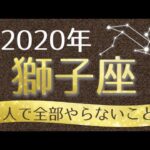 【占い】2020年 獅子座(しし座)の運勢を占う！【西洋占星術･タロット･易】