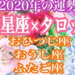 12星座占い&タロット☆2020年の運勢を西洋占星術とタロットリーディングで鑑定しました♩恋愛運、仕事運、全体運。おひつじ座、おうし座、ふたご座。