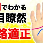 【手相占い】進路適正を知って仕事を選ぼう【就活・転職】