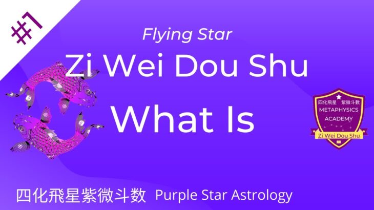 What Is Zi Wei Dou Shu | 紫微斗数 | 风水 |‎ Ziweidoushu | Learn ZWDS
