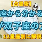 【占星術】月が双子座にある方へ♊月星座から分かることを解説しました😃🌙