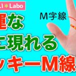 【手相占い】最強のM字線！？ラッキーM線の本当の意味とは？