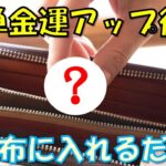 【風水】お財布だけで簡単に出来る金運アップ術１０選！お金持ちや成功者がやっているお金に好かれる財布とは！？