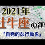 【占い】2021年 牡牛座(おうし座)の運勢を占う！【西洋占星術･タロット･易】