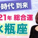 【みずがめ座】2021年の全体運【仕事・お金・人間関係】風の時代到来！3度の転換期はこうやって乗り越えよう！【西洋占星術】