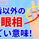 【手相】親指以外に現れる仏眼相はどんな意味を持つ？