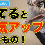 【風水】捨てると運気アップするもの10選！人生が変わる片付けとは？【断捨離】