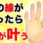 【手相占い】あったら夢が叶う！理想の人生が手に入る手相