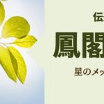 【算命学｜十大主星】鳳閣星（ほうかくせい）のあなたへ