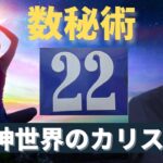 【数秘術22】生きづらい？マスターナンバーの使命。