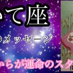 #星座別#タロット占い#射手座【6月の運勢】いて座♐️スタートができる最高の時期超細密✨怖いほど当たるかも知れない😇