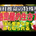 《四柱推命》特殊星☆魁罡の生き方☆ 三島由紀夫・太宰治も持っていた