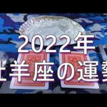 ♈【占い】2022年の牡羊座♈の運勢🌈✨😲⭐✨