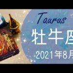 【おうし座】2021年8月運勢♉️とても大切な決断をするとき