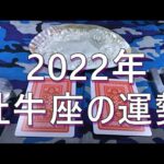 ♉【占い】2022年の牡牛座♉の運勢🌈✨😲⭐✨