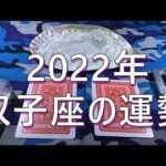 ♊【占い】2022年の双子座♊の運勢🌈✨😲⭐✨
