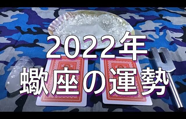 ♏【占い】2022年の蠍座♏の運勢🌈✨😲⭐✨