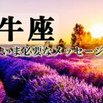 【10月♉️牡牛座】重大な結果があらわれます。終わるもの、はじまるもの、すべてを受けいれて転機に変えていこう。☆タロットセラピー｜タロットリーディング