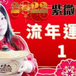 2022紫微斗數-流年運勢第1篇 （第二篇待續….)Zi Wei Dou Shu is a branch of Chinese Astrology.