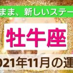 【牡牛座】思いのまま、新しいステージへ！2021年11月の運勢💖光のアドバイス付き