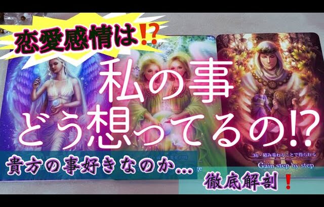 【恋愛感情の有無診ていきます！！】気になるお相手さんは私の事どう想ってるの？？貴方の事好きなのか…そこに恋愛感情はあるのかどうなのか…徹底解剖していくよ💖恋愛タロットオラクルカード鑑定🔮✨