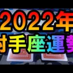 ♐【占い】2022年の射手座♐の運勢🌈✨😲⭐✨