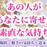 【一部中辛口】あの人の気持ち🕊恋愛タロット占い💕片思い複雑恋愛三角関係💟ルノルマンオラクル🌈詳細深堀りリーディング