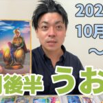 【うお座　10月16日～10月31日　(10月後半)】もしも恐怖が無かったら【恋愛・仕事・金運3分タロットリーディング　ウラリーマン】