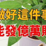 風水師告訴我：做好這件事，財神會更喜歡你，能掙億萬財！#生活小醬汁