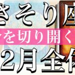 さそり座♏️12月全体 運命を切り開く勇気