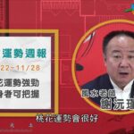 11/22-11/28｜雞 狗 豬 ｜2021風水生肖運勢週報