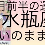 #星座別#タロット占い#水瓶座【12月前半の運勢】みずがめ座　あなたの気持ちを伝える事！超細密✨怖いほど当たるかも知れない😇