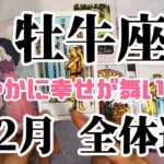 牡牛座♉全体運│2021年12月タロットリーディング