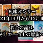 お金の流れを整えて、一つ上のらせんへ。堂々巡りのその先に。魚座2021年11月後半から12月まで。ホ・オポノポノよりトックリヤシも紹介してます。