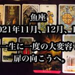 一生に一度の大変容！扉の向こうへ。魚座2021年11月、12月、2022年1月のうお座さん。