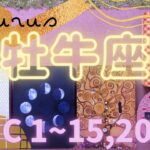 牡牛座★2021/12/1～15★新しさが加わることで居心地の良い環境になる！地に足のついたあなたらしい変化ができる時 – Taurus – December 1~15, 2021