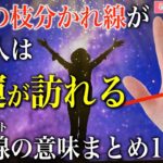 【手相占い】三本の枝分かれ線は幸運のサイン！？三又線（トライデント）の意味まとめ10選