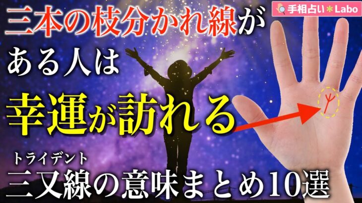 【手相占い】三本の枝分かれ線は幸運のサイン！？三又線（トライデント）の意味まとめ10選